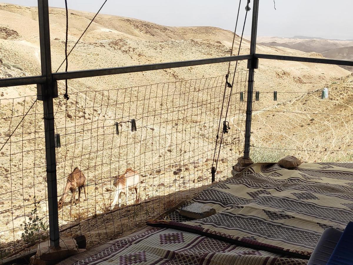Dead Sea Desert'S Edge Αράντ Εξωτερικό φωτογραφία