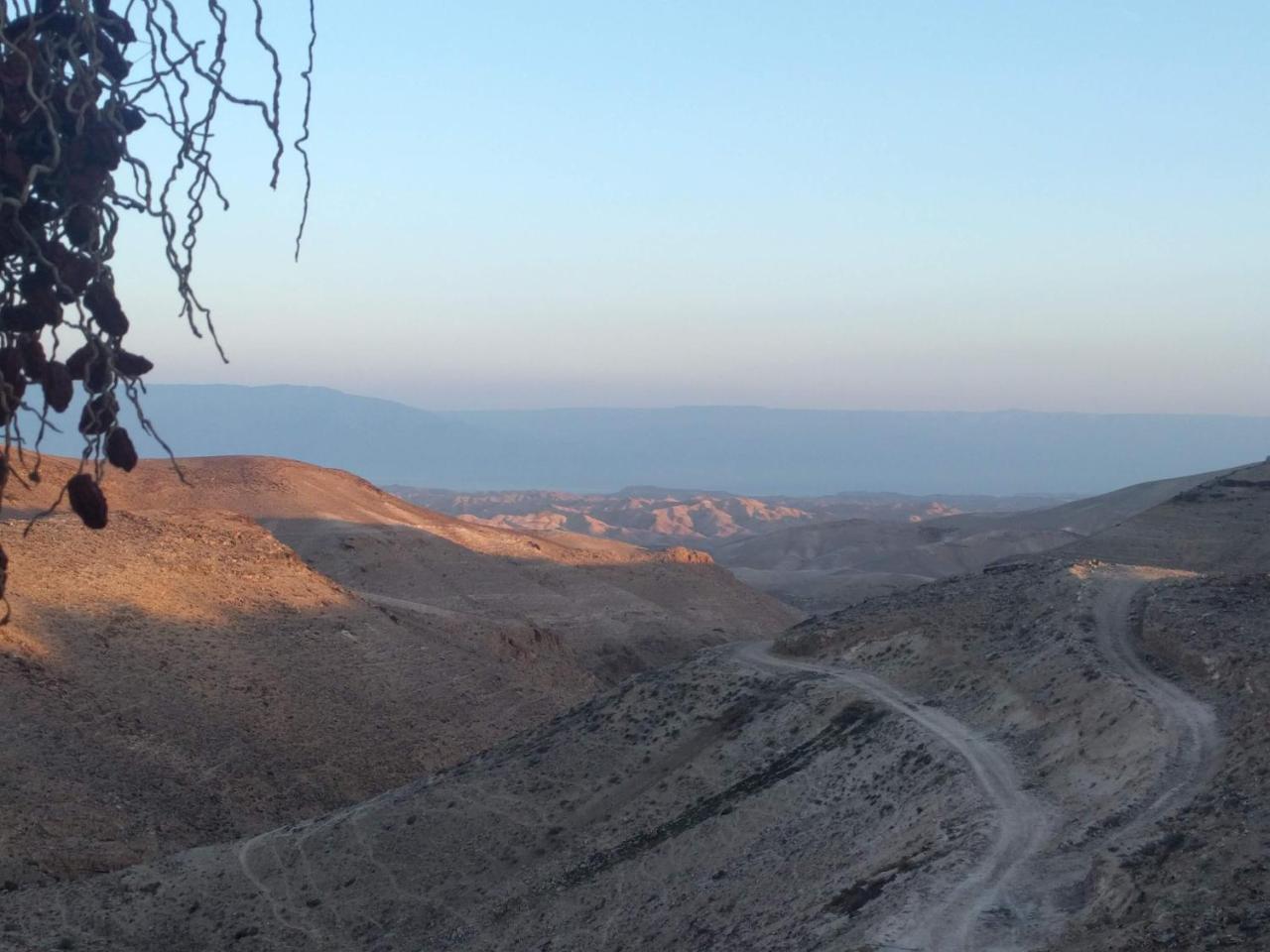 Dead Sea Desert'S Edge Αράντ Εξωτερικό φωτογραφία